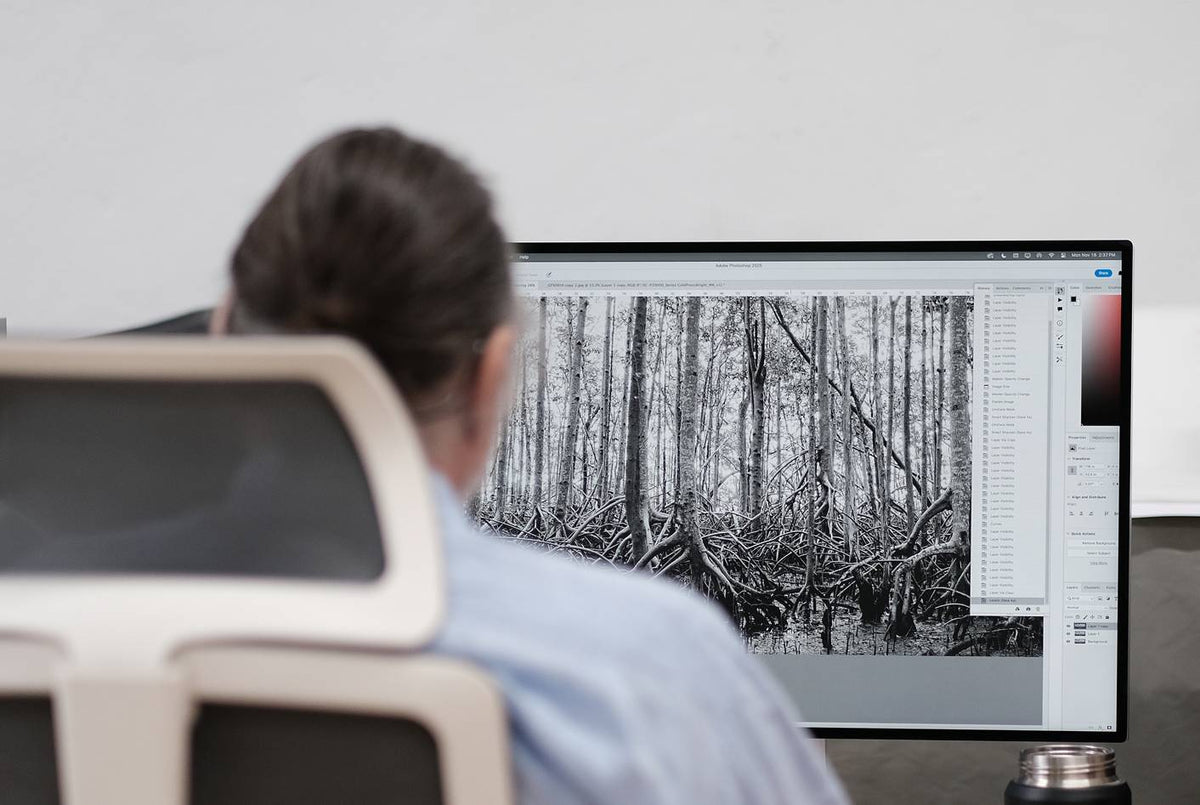 High-Resolution Art Scanning for True Artwork Preservation